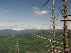 Angel's Rest trail in the are burned by fires in 1991. Looking north to Silver Star