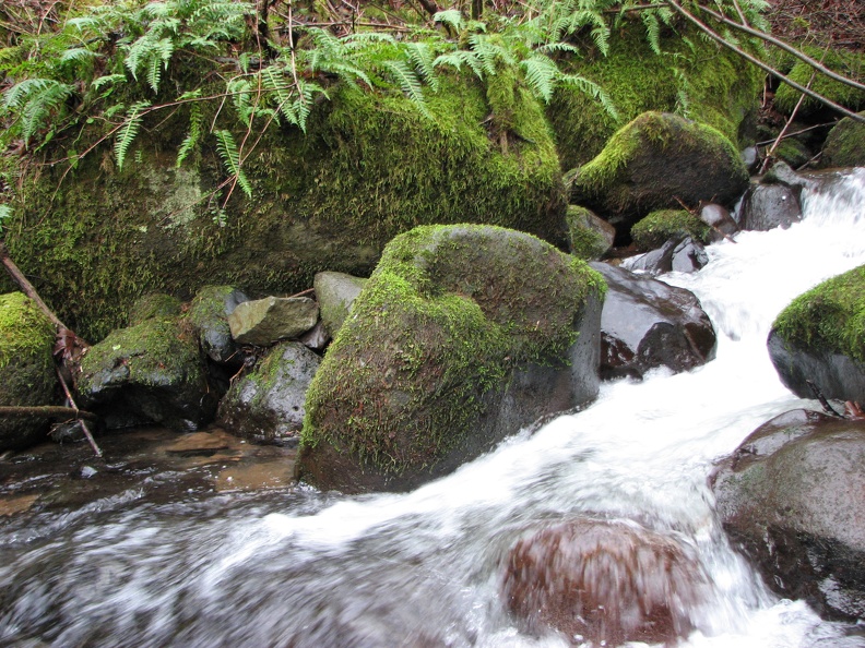 Coopey Creek flows along the trail for a short distance. This was taken just above the footbridge.