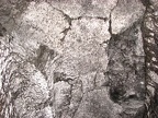 Ceiling of the lava tube showing cracks as the rock cooled and contracted.