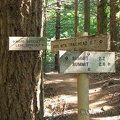 Trail signs at the first junction of Dog Mountain Trail. The trail to the right passes a viewpoint but the trail on the left is shorter and stays in the woods. There will be plenty of views later.