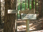 Trail signs at the first junction of Dog Mountain Trail. The trail to the right passes a viewpoint but the trail on the left is shorter and stays in the woods. There will be plenty of views later.