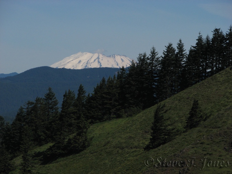 Mt. St. Helens can be easily seen from Dog Mountain on a nice day.