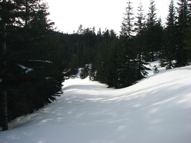 Here is a picture of the place where you leave the main road. The trail to the right leads up to some meadows. The path you want heads across the meadows and to the left.