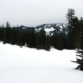 Here is the meadow, looking north. You can see how open the meadow is and a ridge in the distance.