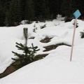 Sign marking the Barlow Pass Trail