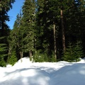 The trail leaves the thick forest where it crosses back over the West Fork of the Salmon River.