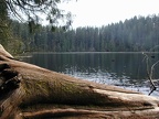 Battle Ground Lake State Park.