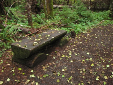 A bench to take a rest along the Big Creek Falls.