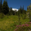 One of the many meadows and streams on this hike.