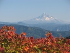 View of Mt. Hood from Bluff Mountain Trail.