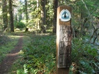 Pacific Crest Trail signs markers are infrequently spaced along the trail.