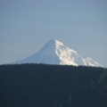 Mt. Hood pokes above the nearby mountains from near the top of Bunker Hill.