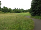A large meadow along the Burnt Bridge Creek Greenway, west of Leverich Park. The trail splits and goes along either side of this meadow.