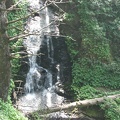 The trail passes above a small waterfall on the Cape Falcon Trail.