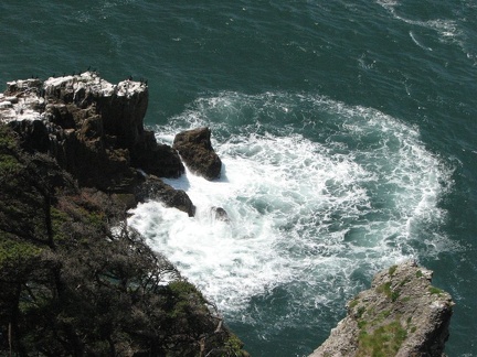 Looking at the Pacific Ocean and the Cormorants from Cape Falcon.