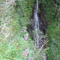 A small waterfall along the Cape Horn Trail in the Columbia Gorge