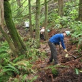 Steve scraping the organic matter off the trail route in preparation for building the tread.