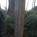 Signpost on the Cape Lookout Coastal Trail