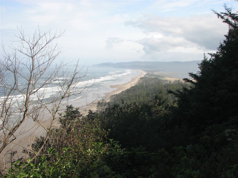 Ocean view from the Cape Lookout Coastal Trail