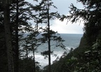 This is the last view of the ocean as the trail heads towards the southern end of the Cape Lookout North Trail.