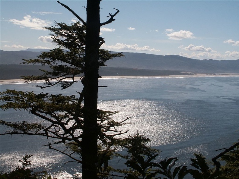 Looking south from the Cape Lookout trail