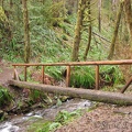 A picture of the old log bridge over the creek just before the trail junction with the Storey Burn Trail. This is now a bridge wide enough for mountain bikes.