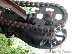 I liked the detail of the chain and cog of this destroyed piece of equipment along the South Coldwater Trail.