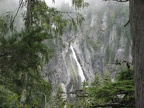 An off-trail wandering provides this view of Comet Falls.