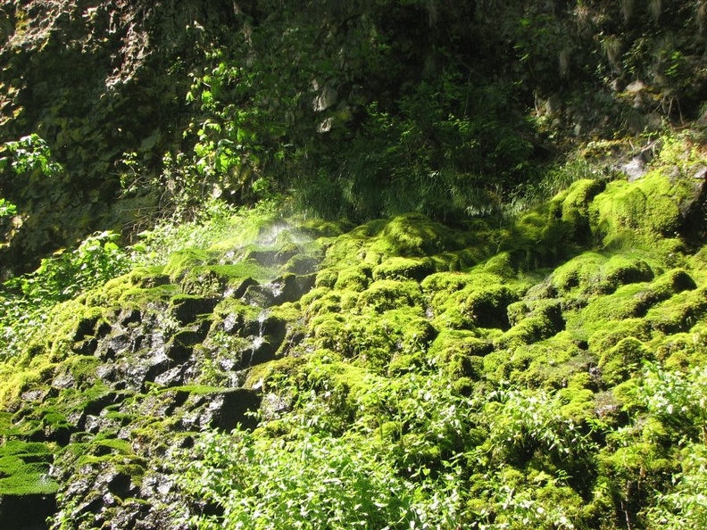 Trickle waterfall just off the trail.