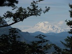 Mt. Adams from the Devils Backbone Trail.
