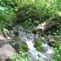 Wahkeena Springs bursting out of the ground.