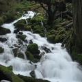 Wahkeena Creek rushes down the canyon along the Wahkeena Falls Trail.