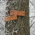 Trail junctions signs west of Devil's Rest for Devil's Rest Trail and Foxglove Way.