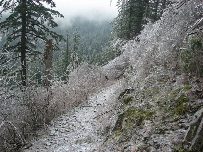 A slick layer of ice coats the Gorge Trail #400, west of Wahkeena Creek.