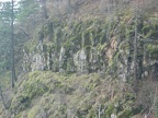 A layer of columnar basalt makes up part of a cliff across from the Wahkeena Falls Trail.