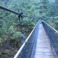 The suspension bridge over the stream is 240 feet long and about 100 feet above the stream. The bridge is very stable and doesn't bounce much if you walk gently.
