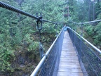 The suspension bridge over the stream is 240 feet long and about 100 feet above the stream. The bridge is very stable and doesn't bounce much if you walk gently.