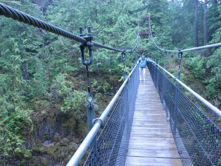 The suspension bridge over the stream is 240 feet long and about 100 feet above the stream. The bridge is very stable and doesn't bounce much if you walk gently.