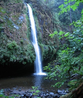 Drift Creek Falls cascades about 75 feet into Drift Creek.