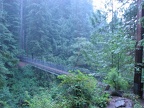 The suspension bridge over the stream is 240 feet long and about 100 feet above the stream. This may be the longest suspension bridge for hiking in Oregon or Washington.
