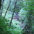 A sturdy wood plank bridge spans one of the small creeks along the Drift Creek Falls Trail.