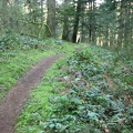 This section of the Pacific Crest Trail gently curves and climbs towards Dry Creek Falls.