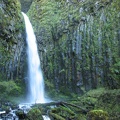 Dry Creek Falls plunges out of a basalt cleft to plunge into a small pool at the bottom of the falls.