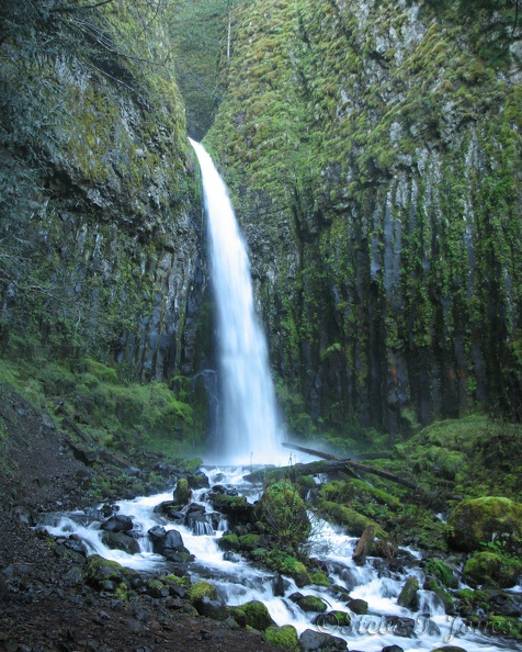 Dry Creek Falls creates a lovely creek flowing down along a forest road.