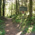 Here is a picture of the Pacific Crest Trail in Cascade Locks. The beginning of the trail is an easy walk up a gentle grade.