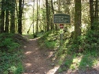 Here is a picture of the Pacific Crest Trail in Cascade Locks. The beginning of the trail is an easy walk up a gentle grade.