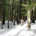 The Benson Plateau can have snow into June. In April, there was almost 4 foot of snowpack. 