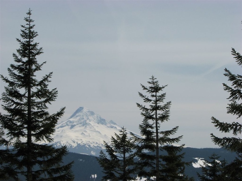 Near Camp Smokey is an open patch of ground with nice views of Mt. Hood. This is one of the few area on the Plateau where you can get a good GPS reading.