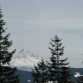 Near Camp Smokey is an open patch of ground with nice views of Mt. Hood. This is one of the few area on the Plateau where you can get a good GPS reading.