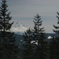 Near Camp Smokey is an open patch of ground with nice views of Mt. Hood. This is one of the few area on the Plateau where you can get a good GPS reading.